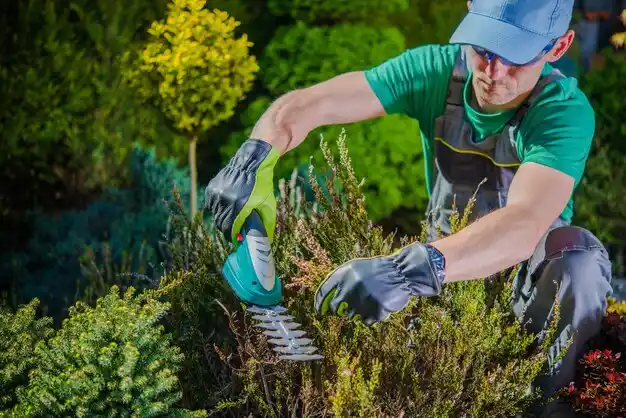 landscaping services Anchorage